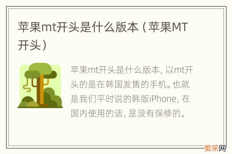 苹果MT开头 苹果mt开头是什么版本