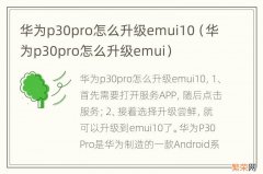 华为p30pro怎么升级emui 华为p30pro怎么升级emui10