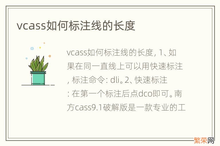 vcass如何标注线的长度