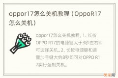 OppoR17怎么关机 oppor17怎么关机教程