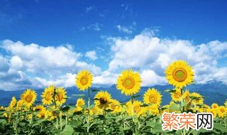 夏天一定要做的事 夏天千万别做这8件事