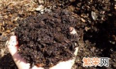 最快制作腐叶土的方法 怎么制作腐叶土