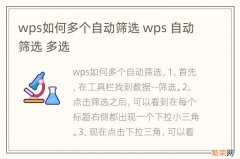 wps如何多个自动筛选 wps 自动筛选 多选