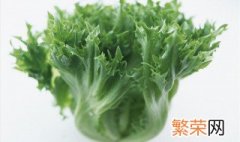 生菜分苗最佳方法 有什么种植的小技巧呢