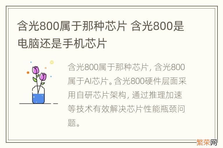 含光800属于那种芯片 含光800是电脑还是手机芯片