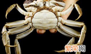 咸螃蟹的冷冻保存方法 咸螃蟹的冷冻保存方法视频