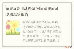 苹果xr能用动态壁纸吗 苹果xr可以动态壁纸吗