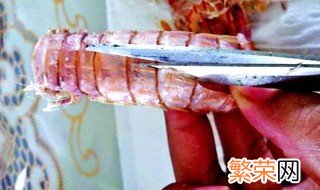 琵琶虾的去皮方法 琵琶虾的功效与作用