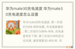 华为mate30充电速度 华为mate30充电速度怎么设置