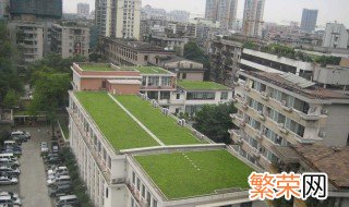 楼顶无土种植知识 楼顶种植用什么轻质土