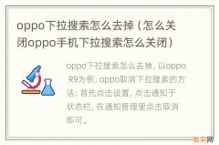 怎么关闭oppo手机下拉搜索怎么关闭 oppo下拉搜索怎么去掉