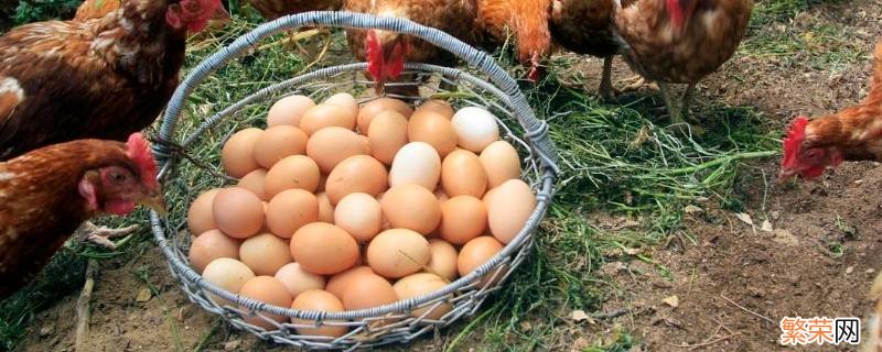 草鸡蛋和土鸡蛋的区别颜色 草鸡蛋和土鸡蛋的区别