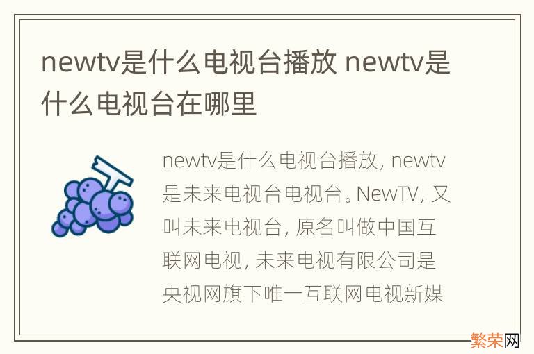 newtv是什么电视台播放 newtv是什么电视台在哪里