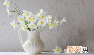 鲜花保养大全,怎样保养鲜花 鲜花在家里怎么保养