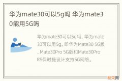 华为mate30可以5g吗 华为mate30能用5G吗