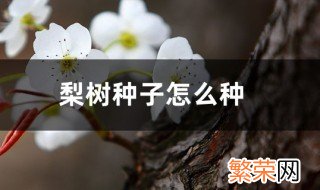 用梨树种子播种方法 种后几年才能结果