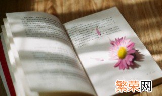 给情人生日的暖心句子 给爱人暖心的生日祝福句子