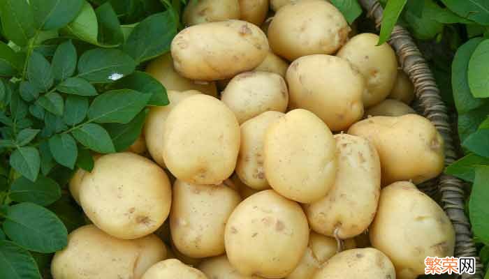 土豆是酸性还是碱性的 土豆是什么性质的食物