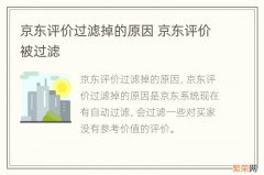 京东评价过滤掉的原因 京东评价被过滤