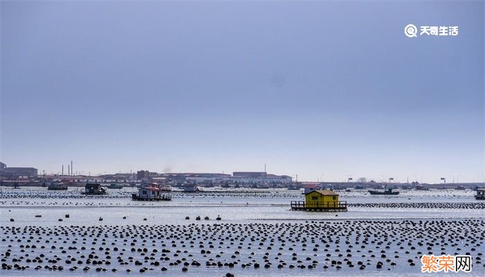 造成海平面上升的主要原因是什么 导致海平面上升的主要原因