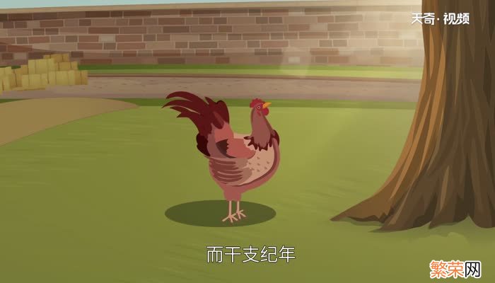 鸡年是哪年鸡年是什么年