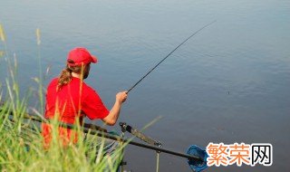 南方野钓鲫鱼方法 浅谈南方冬季野钓鲫鱼的技巧