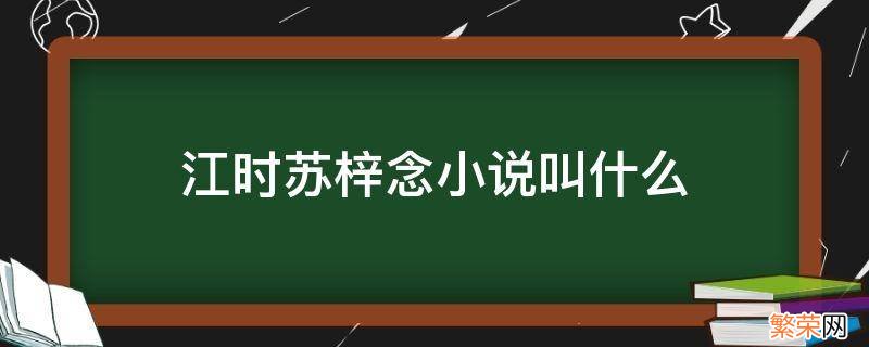 女主叫苏年年顾梓辰小说 江时苏梓念小说叫什么