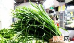 沙葱和韭菜的区别 沙葱和韭菜的区别是什么