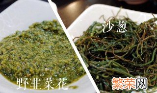 沙葱是韭菜吗 沙葱是不是韭菜