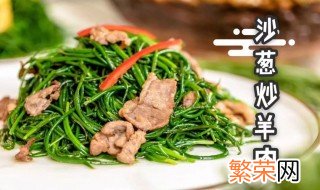 沙葱羊肉 什么是沙葱羊肉