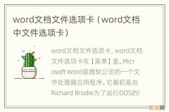 word文档中文件选项卡 word文档文件选项卡