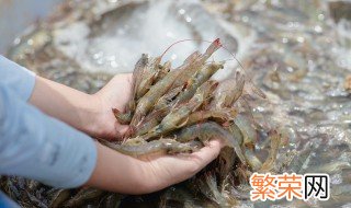 剥新鲜虾线的方法 怎样剥新鲜虾线