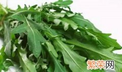 野莴苣菜的功效与作用 野莴苣菜的功效与作用是什么