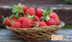 草莓如何施肥 草莓施肥技巧