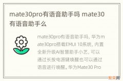 mate30pro有语音助手吗 mate30有语音助手么