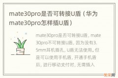 华为mate30pro怎样插U盾 mate30pro是否可转接U盾