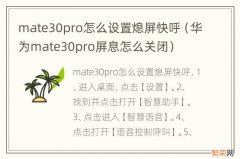 华为mate30pro屏息怎么关闭 mate30pro怎么设置熄屏快呼