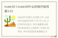 mate30什么时候升级鸿蒙3.0 mate30