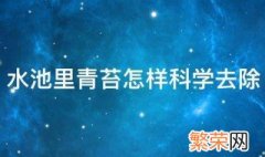 水池里青苔怎样科学去除 水池里青苔去除技巧