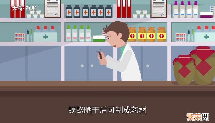 蜈蚣吃什么蜈蚣吃什么东西