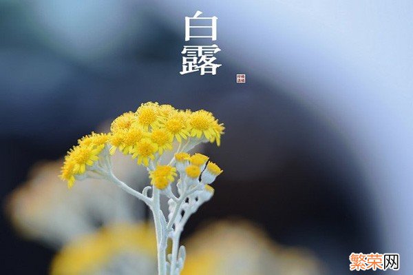 白露节气做什么运动