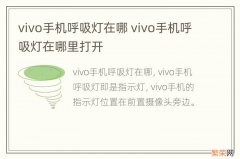 vivo手机呼吸灯在哪 vivo手机呼吸灯在哪里打开