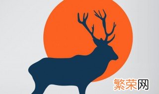 鹿的寓意和象征和忌讳 鹿的寓意和象征