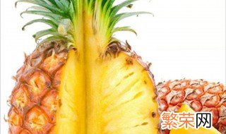 香水菠萝种植技术 菠萝头怎么种水培菠萝花