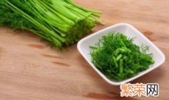 小茴香种植方法和时间 小茴香如何种植