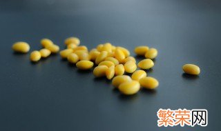黄豆芽怎么种植方法 黄豆芽菜种植方法
