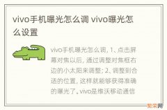 vivo手机曝光怎么调 vivo曝光怎么设置