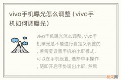 vivo手机如何调曝光 vivo手机曝光怎么调整