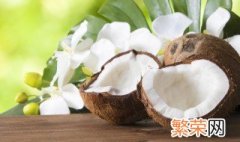 椰子可以保存多久 各种椰子的保存期有什么不同