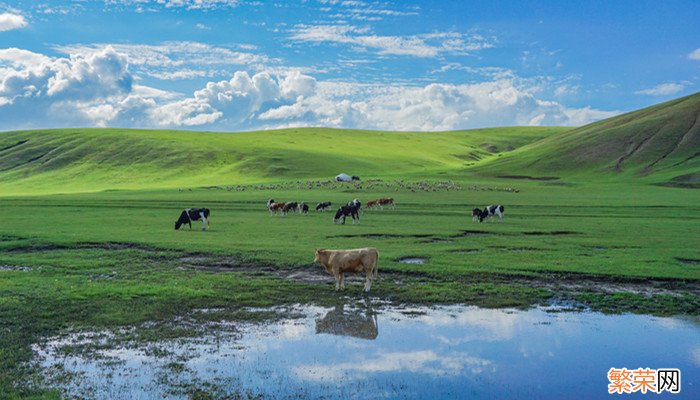 蒙牛集团的总部在内蒙古哪里 蒙牛集团总部地址在哪